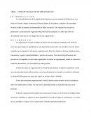 Conceptualizacion de la organizacion