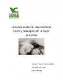 Lactancia materna: características físicas y sicológicas de la mujer puérpera. Solo índice