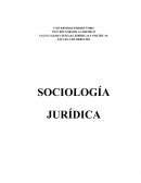 La Sociología como Esencia del Desarrollo Humano