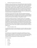 Expectativa de los grupos de interés e influencia