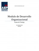 Modulo de Desarrollo Organizacional Pauta de Trabajo