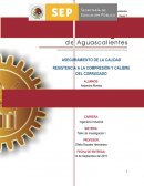 Calidad Total.- Conjunto de características de una entidad que le confieren la aptitud para satisfacer las necesidades establecidas o implícitas