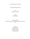 Organización de las Naciones Unidas para la Alimentación y la Agricultura. Trabajo Investigación