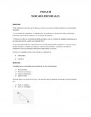 MERCADOS INDIVIDUALES MERCADO