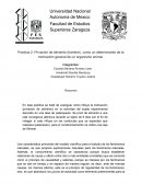Practica 2: Privación de alimento (hambre), como un determinante de la motivación general de un organismo animal