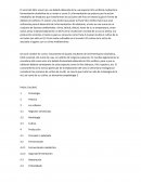 Cual es la Segmentacion de mercados