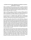 Cadena de suministro en Venezuela 2015