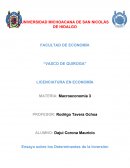 Ensayo sobre los Determinantes de la Inversión