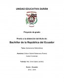 Aplicaciones Matemáticas