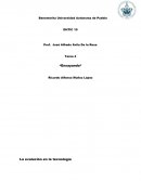 La evolución de las tecnologías