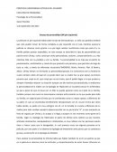 Ensayo mi pie izquierdo