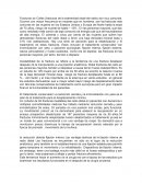 Fractura de colles.