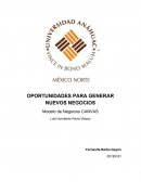 OPORTUNIDADES PARA GENERAR NUEVOS NEGOCIOS