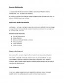 Negocios multilaterales