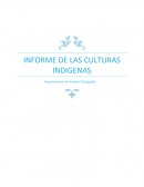 Informe de las culturas indigenas