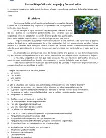 Control de lectura lenguaje y Comunicación. Página 1