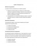Campo organizativo