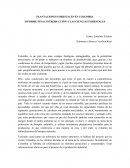 Plantaciones forestales en Colombia