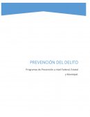 Programas y Estrategias de Prevención del Delito y la Delincuencia