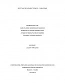 ELECTIVA DE ENFASIS TECNICO chicha morada.