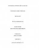 REDVOLUCION: es la contribución de Internet