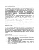 Organización y funcionamiento de un hotel