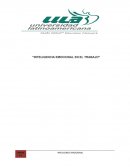 Elementos de la Inteligencia Emocional