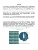 Dumping en la industria siderúrgica mexicana.