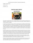 ENSAYO DEL CUENTO “AXOLOTL”