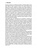 Derecho de familia.ANALISIS