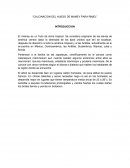 CALCINACION DEL HUESO DE MAMEY PARA RIMEL