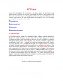 El fruto Botánica Estructural