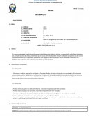 Sylabus matematica ii