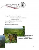 Ensayo: Áreas Naturales Protegidas