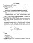 Como fortalecer la lectoescritura en casa