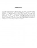 Redacción Publicitaria.