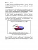 Estudio de Mercado La Industria del Salmón en Chile