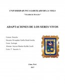 Adaptaciones De los Seres Vivos