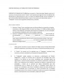 CONTARO INDIVIDUAL DE TRABAJO POR TIEMPO DETERMINADO