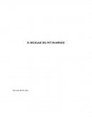 EL RECICLAJE DEL PET EN MÉXICO