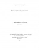 Libro Blanco Cuestionario 2