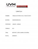 SINTESIS DEL YO Y LOS MECANISMOS DE DEFENSA