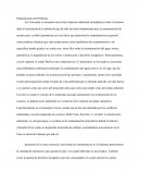 Proyecto La Contaminación Ambiental