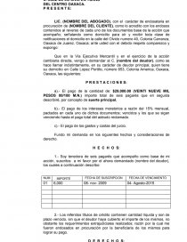 Demanda ejecutiva mercantil ejemplo. Página 1