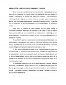 Ensayo del libro el bigote