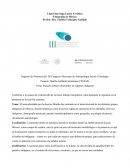 Paisajes político-electorales en regiones indígenas