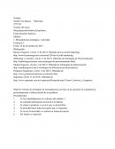 La Evidencia 3. Mercadotecnia Estrategica