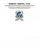 Botanica “Año de la Inversión para el Desarrollo Rural y la Seguridad Alimentaria”