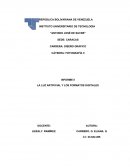 LA LUZ ARTIFICIAL Y LOS FORMATOS DIGITALES