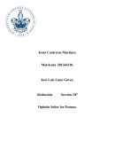 OPINIONES SOBRE POEMAS